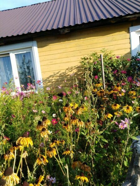 dom, 2 pokoje Szachy. Zdjęcie 5