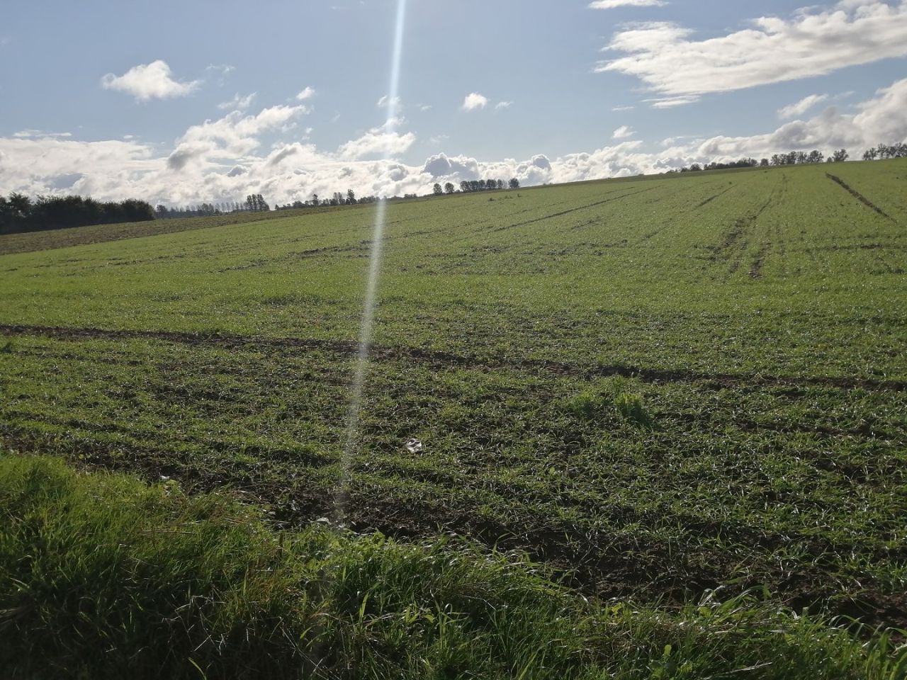 Działka siedliskowa Białogarda. Zdjęcie 5