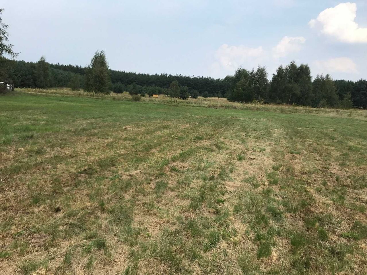 Działka rekreacyjna Sekłak. Zdjęcie 6