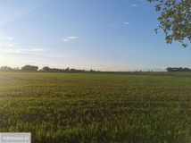 Działka inwestycyjna Wełnica. Zdjęcie 1