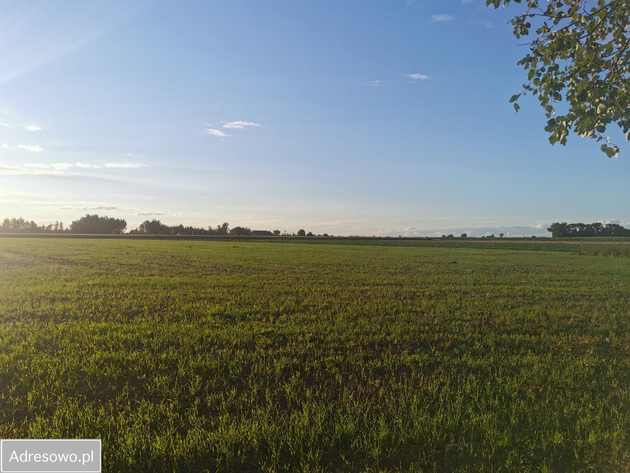 Działka inwestycyjna Wełnica. Zdjęcie 2