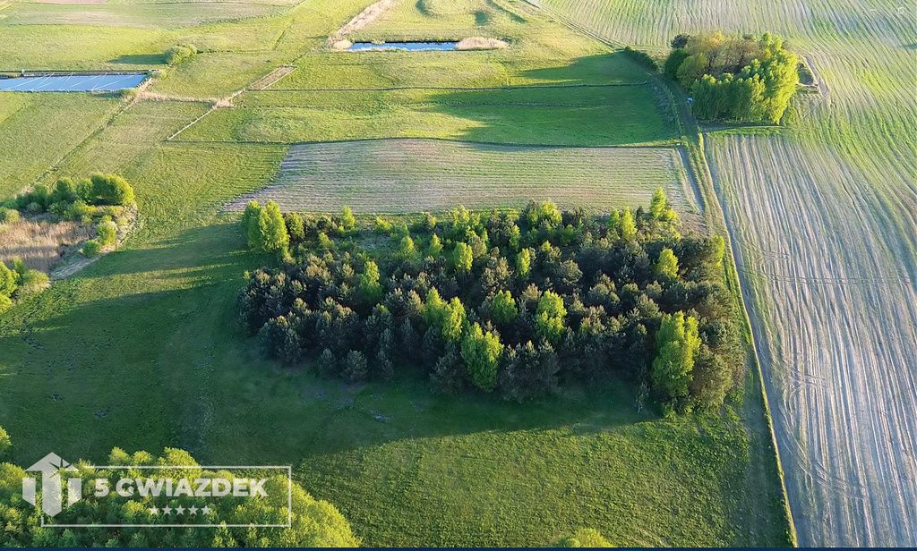 Działka budowlana Dziki. Zdjęcie 13