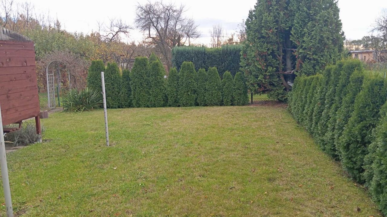 Działka rod Lubin. Zdjęcie 6