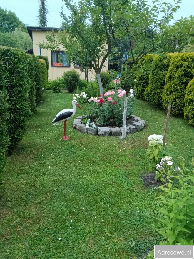 Działka rod Bytom. Zdjęcie 1