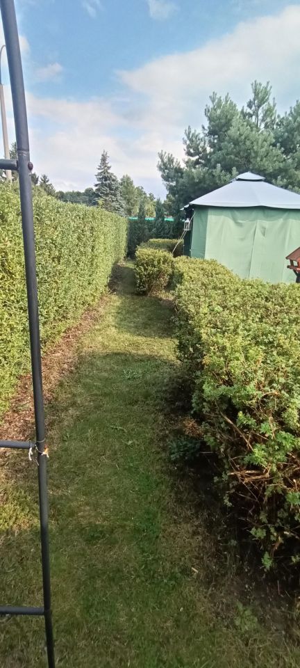 Działka rod Łódź Górna, ul. Lodowa. Zdjęcie 42