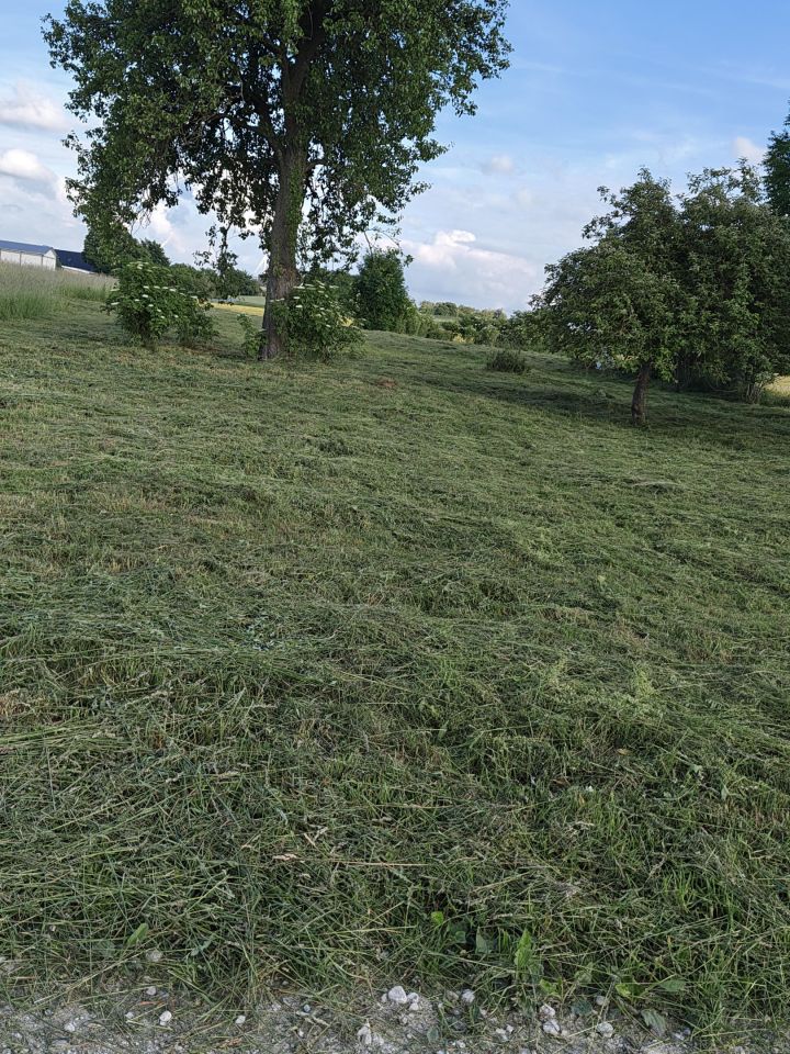 Działka na sprzedaż bez pośredników          
          
            Kruszyny Szlacheckie - Widok 5