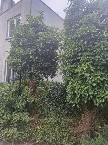 Mieszkanie 4-pokojowe Dąbrówka. Zdjęcie 1