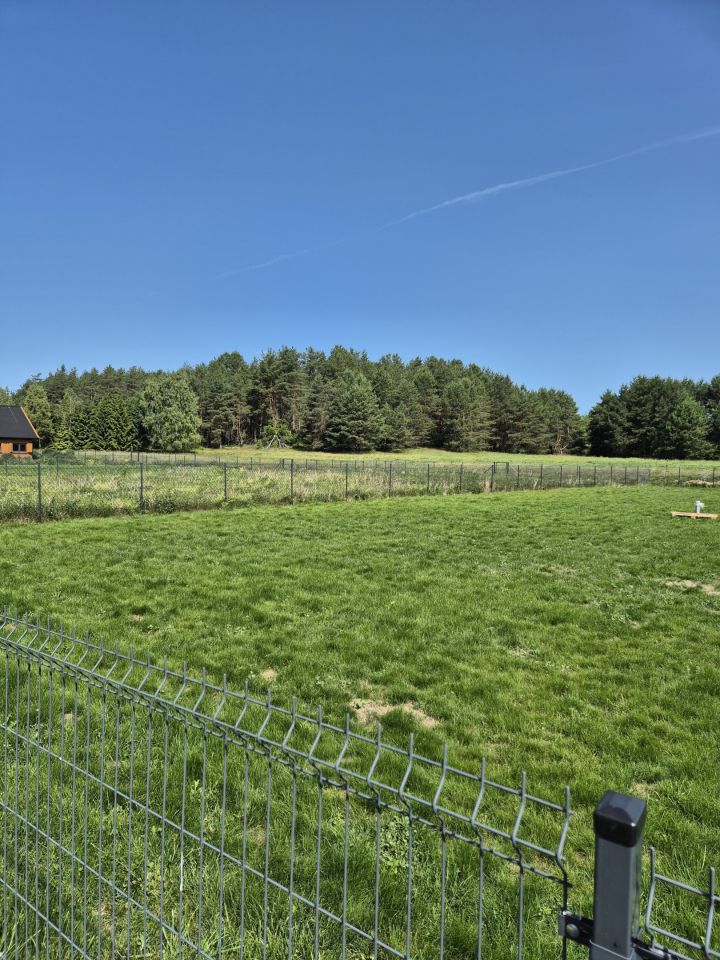 Działka rolna Zgniłocha, Brak. Zdjęcie 5