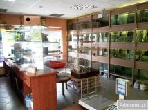 dom wolnostojący Warszawa Wesoła, ul. 1 Praskiego Pułku. Zdjęcie 3