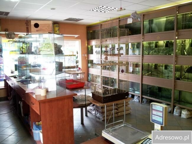 dom wolnostojący Warszawa Wesoła, ul. 1 Praskiego Pułku. Zdjęcie 4