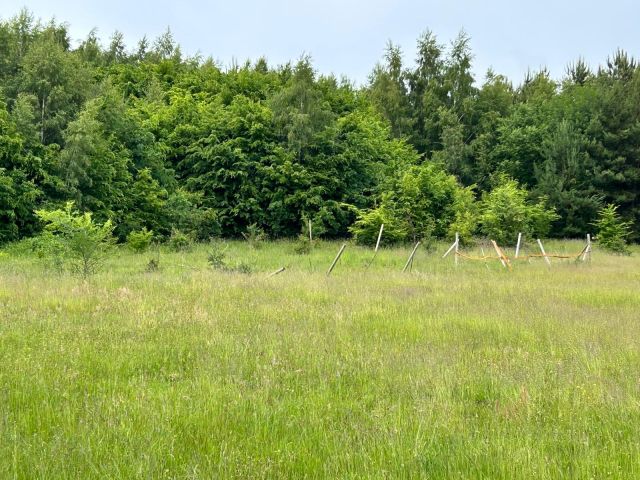 Działka rolno-budowlana Karsino. Zdjęcie 1