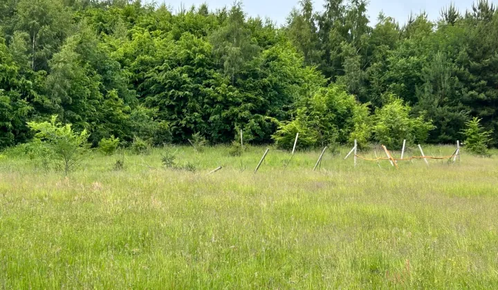 Działka rolno-budowlana Karsino