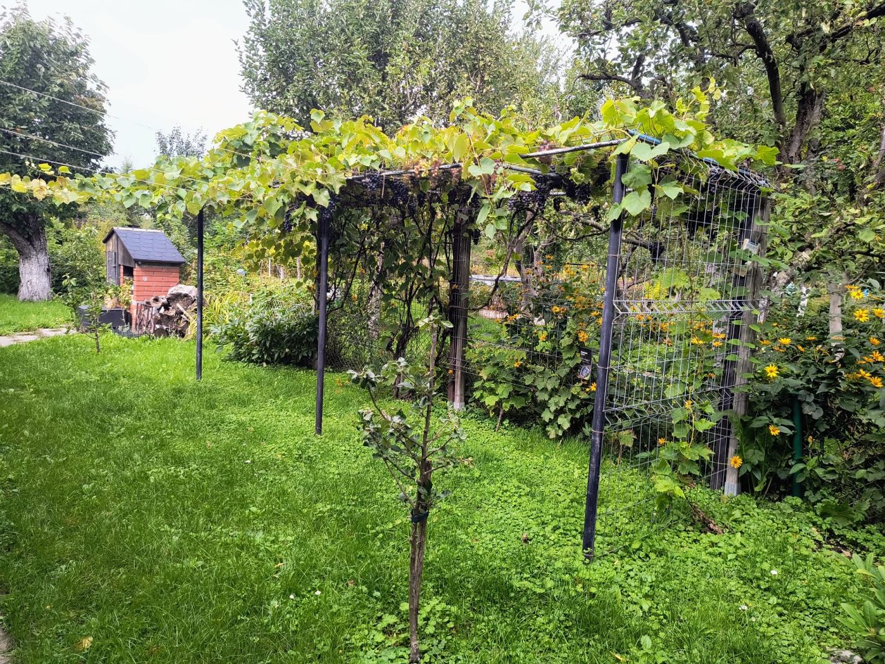 Działka rod Toruń Bydgoskie Przedmieście, ul. Stanisława Przybyszewskiego. Zdjęcie 4