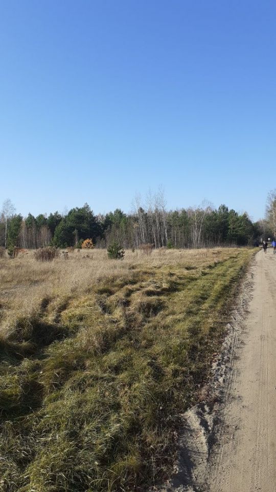 Działka rolno-budowlana Lewkowo Nowe