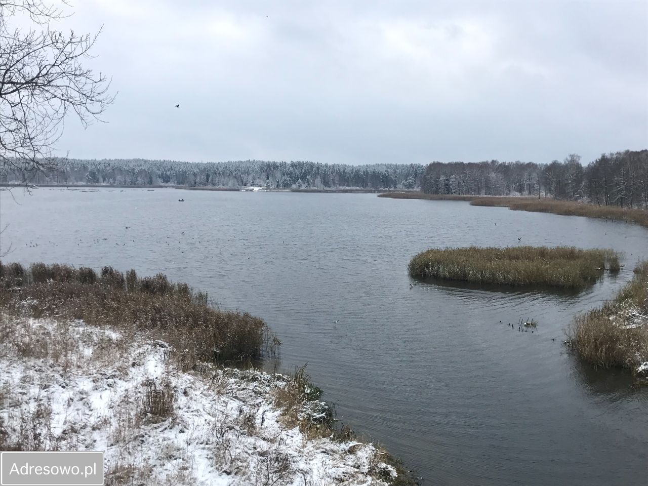 dom wolnostojący, 6 pokoi Brąswałd. Zdjęcie 10