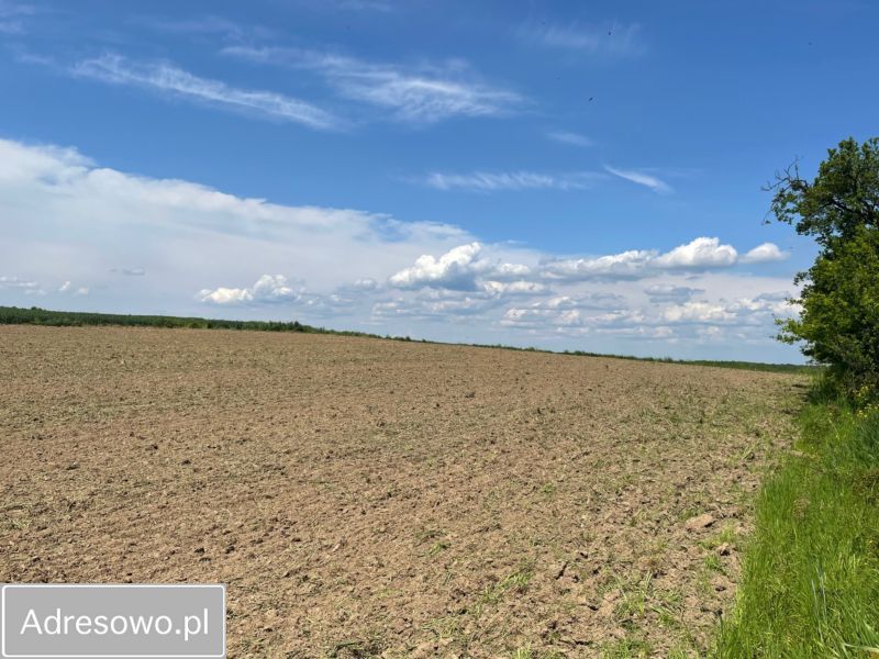 Działka rolno-budowlana Dobroszów. Zdjęcie 8