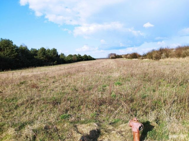 Działka rolno-budowlana Dmosin Drugi. Zdjęcie 1