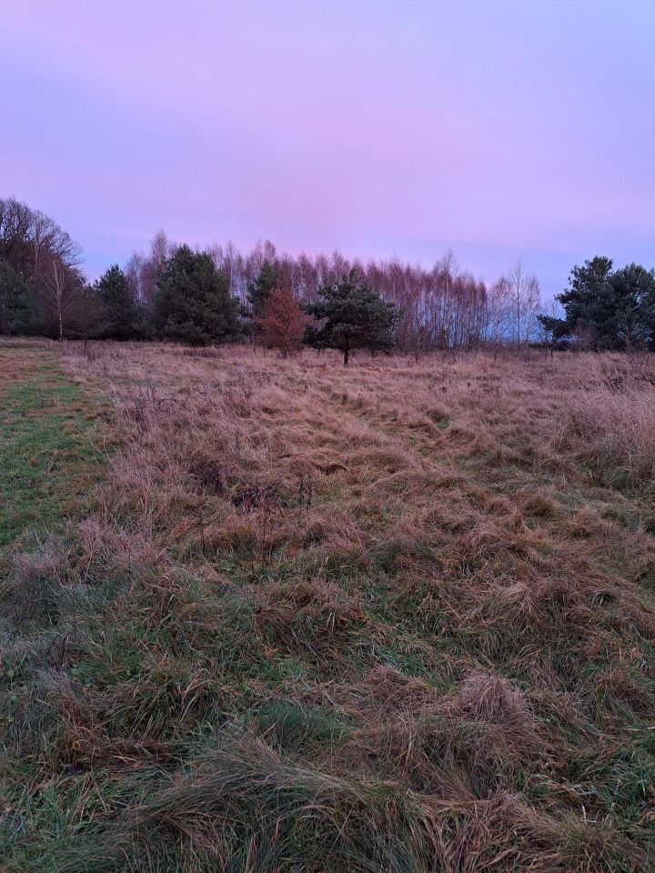 Działka budowlana Olbrachtów. Zdjęcie 5