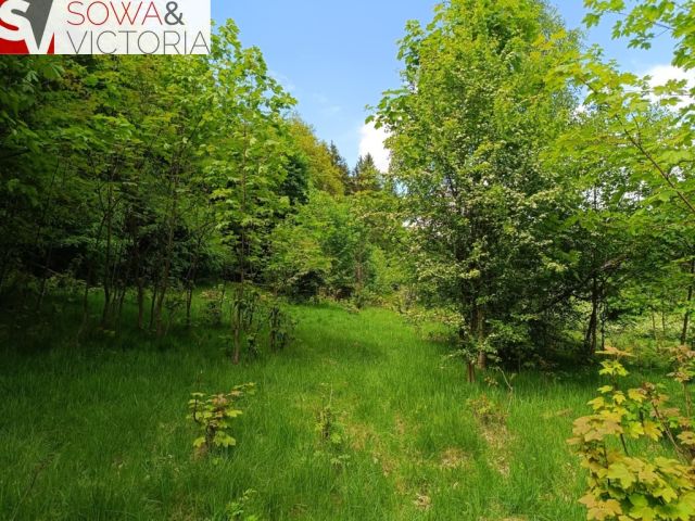 Działka budowlana Jedlina-Zdrój Kamieńsk. Zdjęcie 10