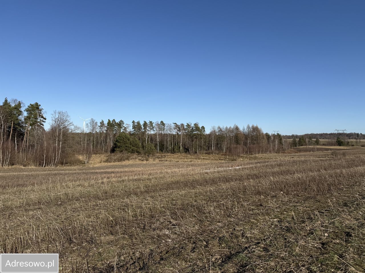 Działka siedliskowa Chrzanowo. Zdjęcie 8