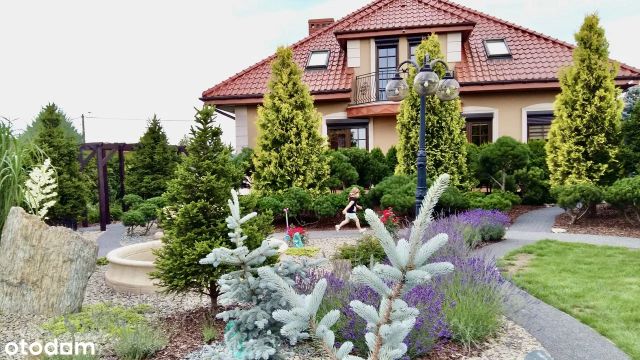 dom wolnostojący, 6 pokoi Nowe Boryszewo. Zdjęcie 1