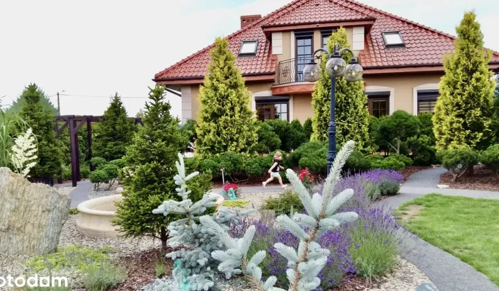 dom wolnostojący, 6 pokoi Nowe Boryszewo