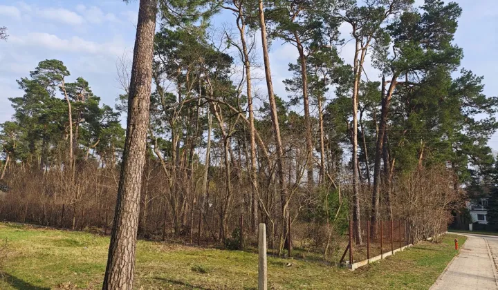 Działka budowlana Łask Kolumna, ul. Wojska Polskiego