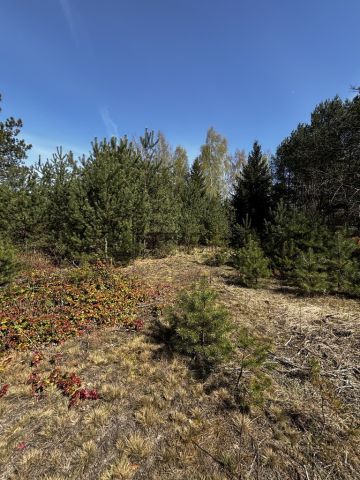 Działka rekreacyjna Dzbądzek. Zdjęcie 9