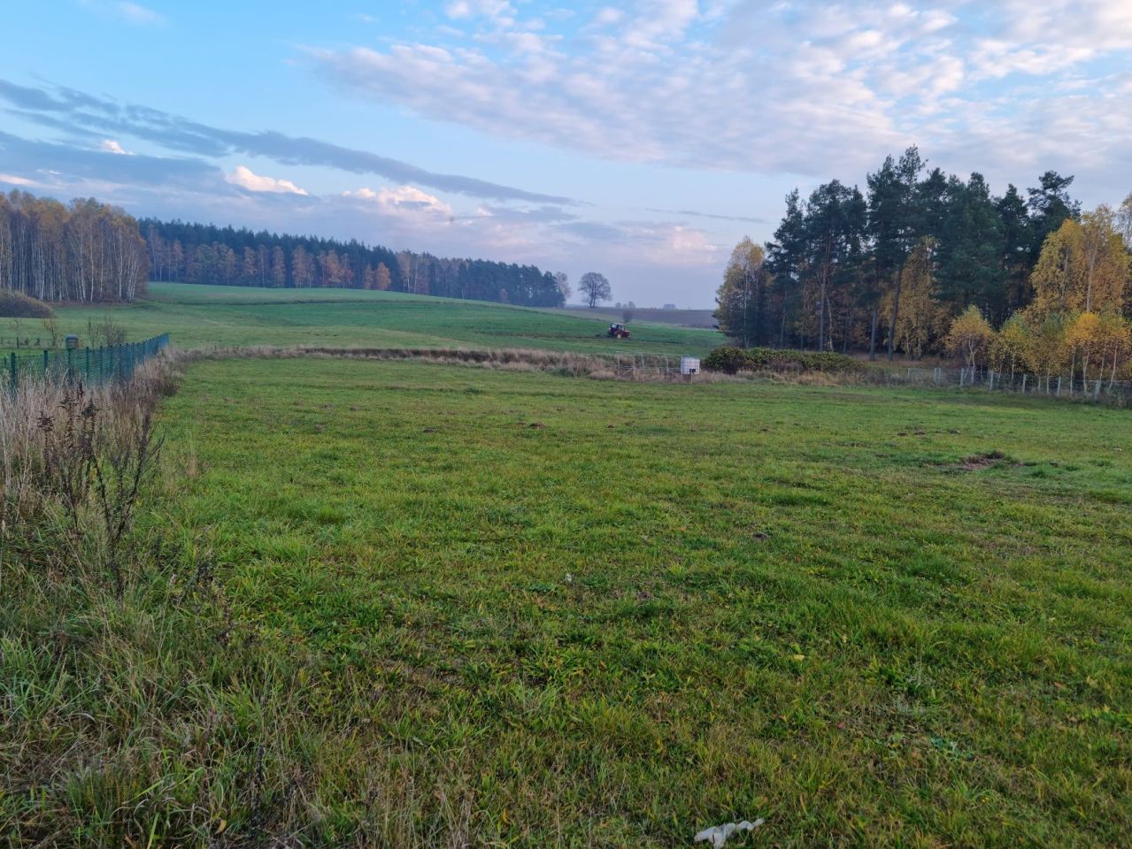 Działka rekreacyjna Abisynia. Zdjęcie 5