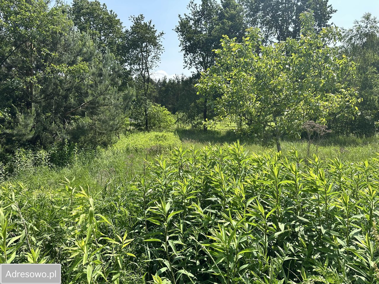 Hala/magazyn Sieniawa. Zdjęcie 20