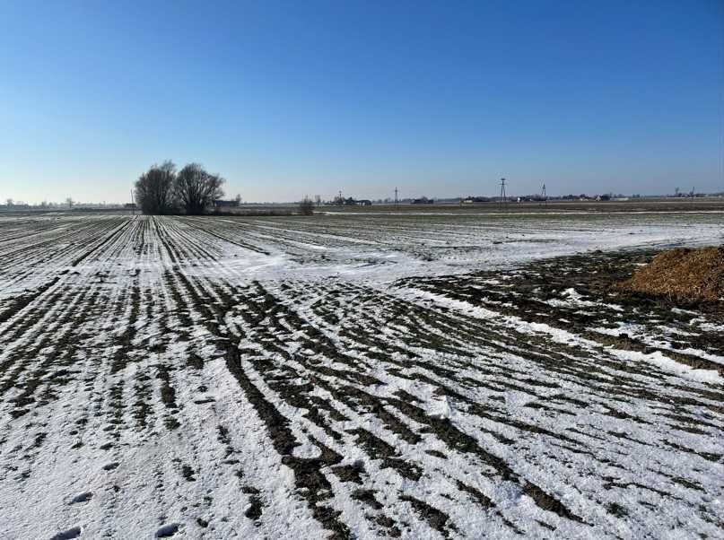 Działka rolna Łówkowice. Zdjęcie 4