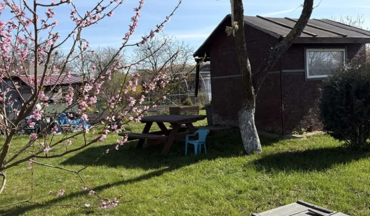 Działka rod Nowogard, ul. Zamkowa