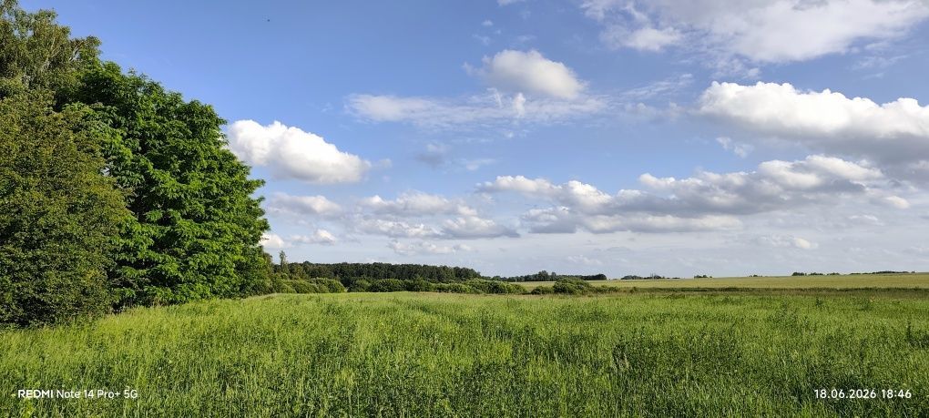 Działka rolna Rudki. Zdjęcie 8