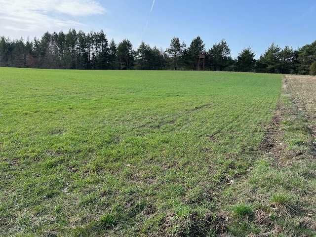 Działka budowlana Cisówka. Zdjęcie 8