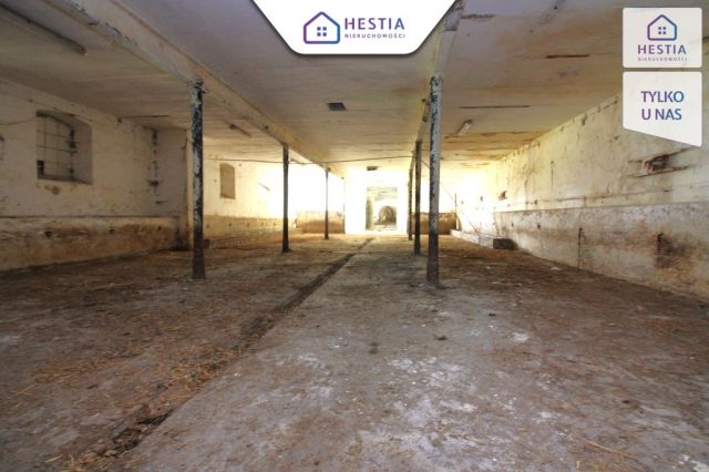 Hala/magazyn Kurcewo. Zdjęcie 11