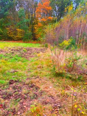Działka budowlana Owczarnia. Zdjęcie 1