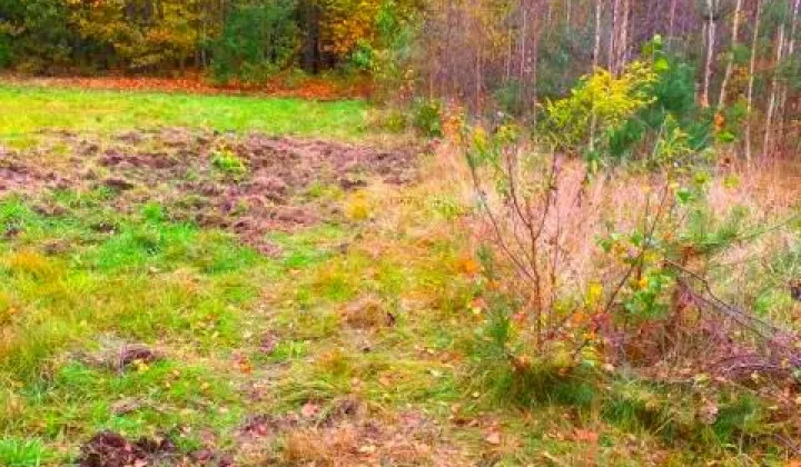 Działka budowlana Owczarnia