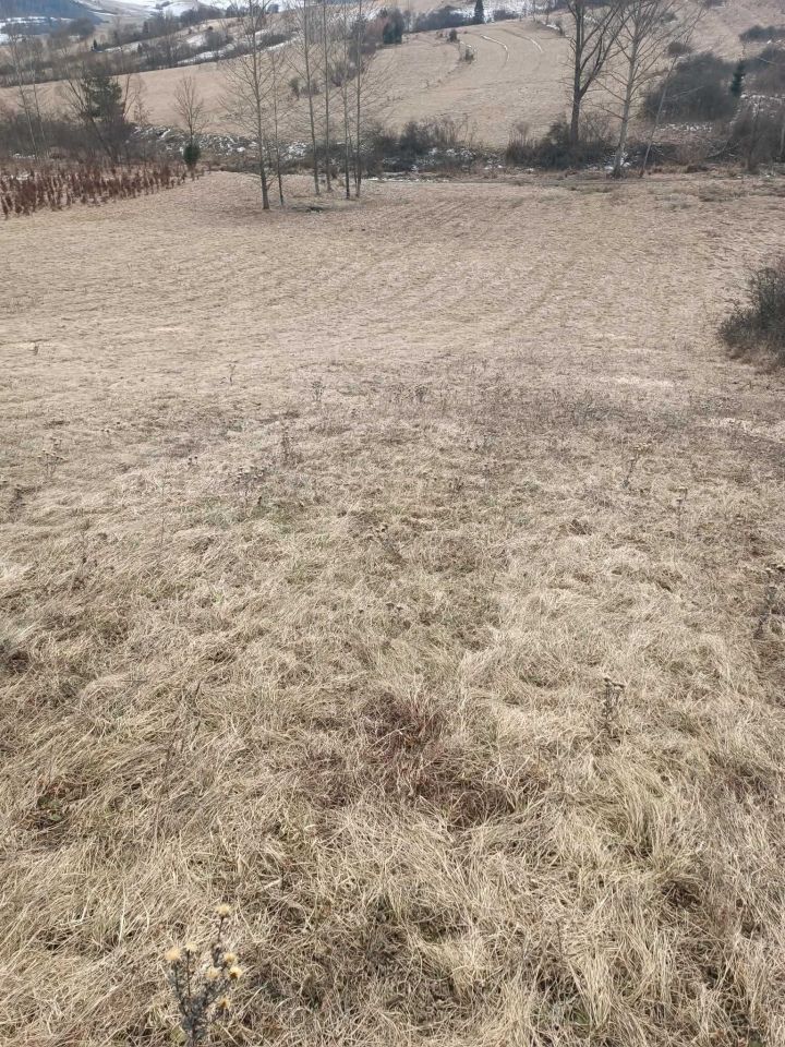 Działka rolna Sromowce Niżne. Zdjęcie 4