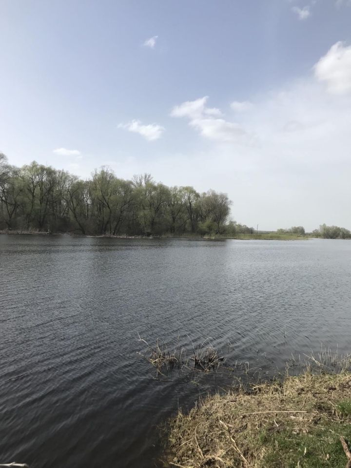Działka rolna Stare Budy. Zdjęcie 3