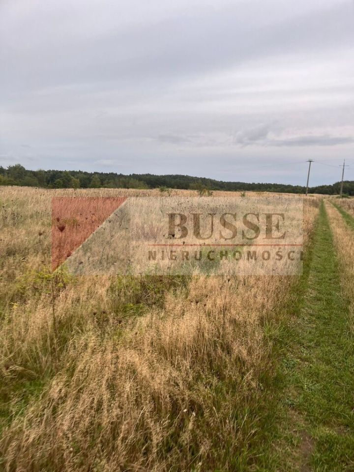 Działka rolna Storkowo. Zdjęcie 3