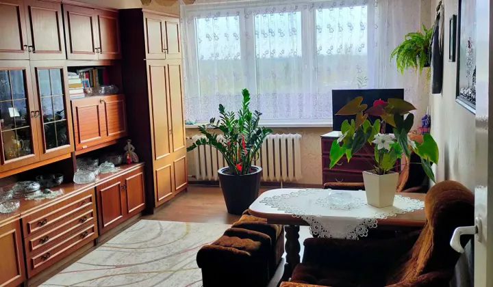 Mieszkanie 3-pokojowe Zawiercie Centrum, ul. Spacerowa