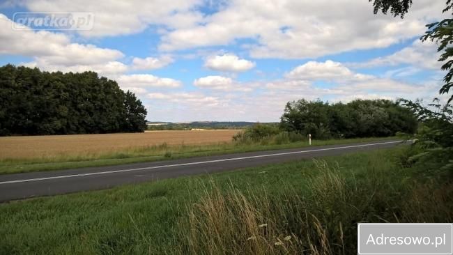 Działka budowlana Biedrzychowice. Zdjęcie 2