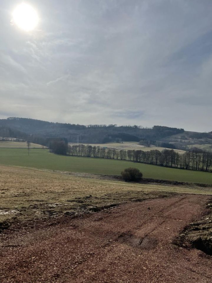 Działka budowlana Lewin Kłodzki. Zdjęcie 7