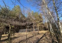 Działka leśna Wilczkowice Dolne. Zdjęcie 1