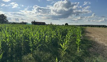 Działka budowlana Świniary Borowna