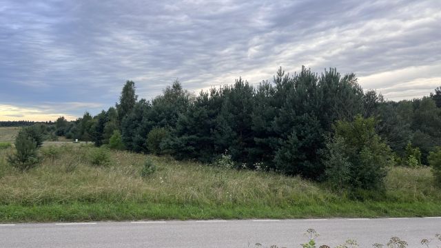 Działka budowlana Łutowiec. Zdjęcie 1