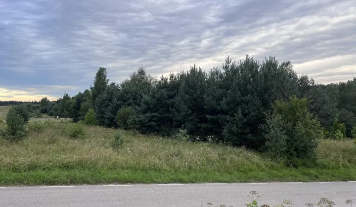 Działka budowlana Łutowiec