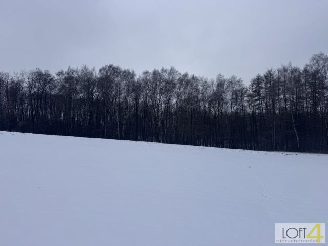 Działka rolno-budowlana Wojnicz. Zdjęcie 15