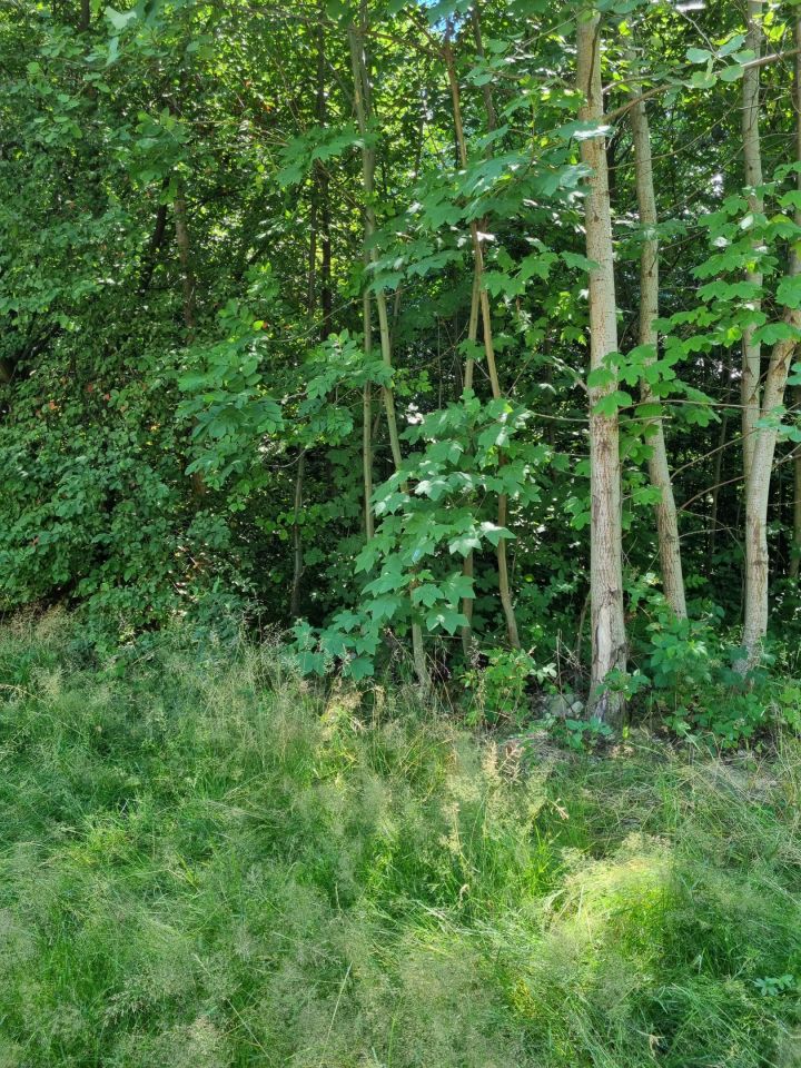 Działka budowlana Bielsko-Biała, Wawelska/Deszczowa. Zdjęcie 17