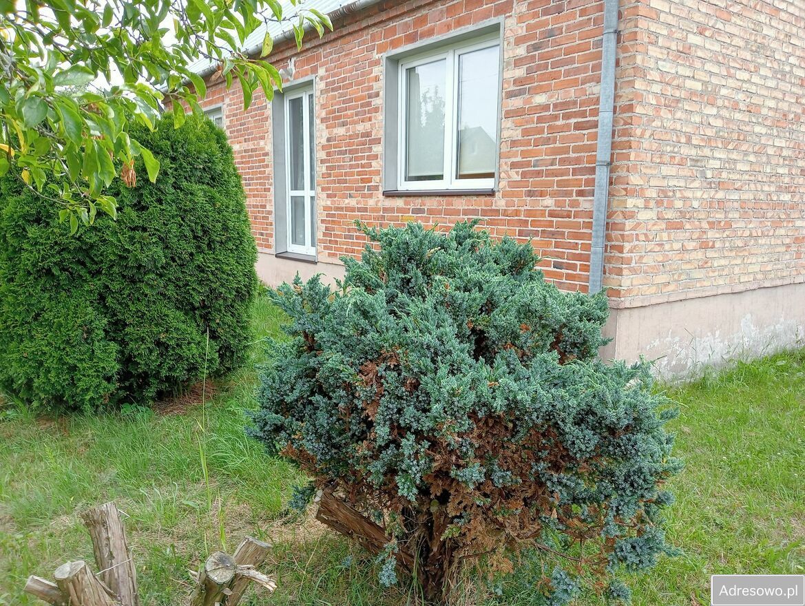 dom wolnostojący, 4 pokoje Anusin. Zdjęcie 5